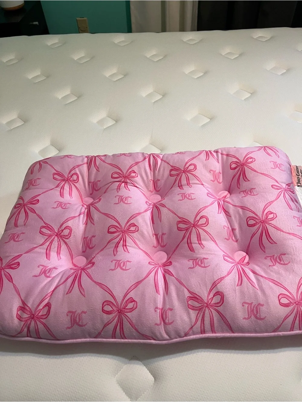 Juicy Couture Pink Velour Pet Bed Crate Mat